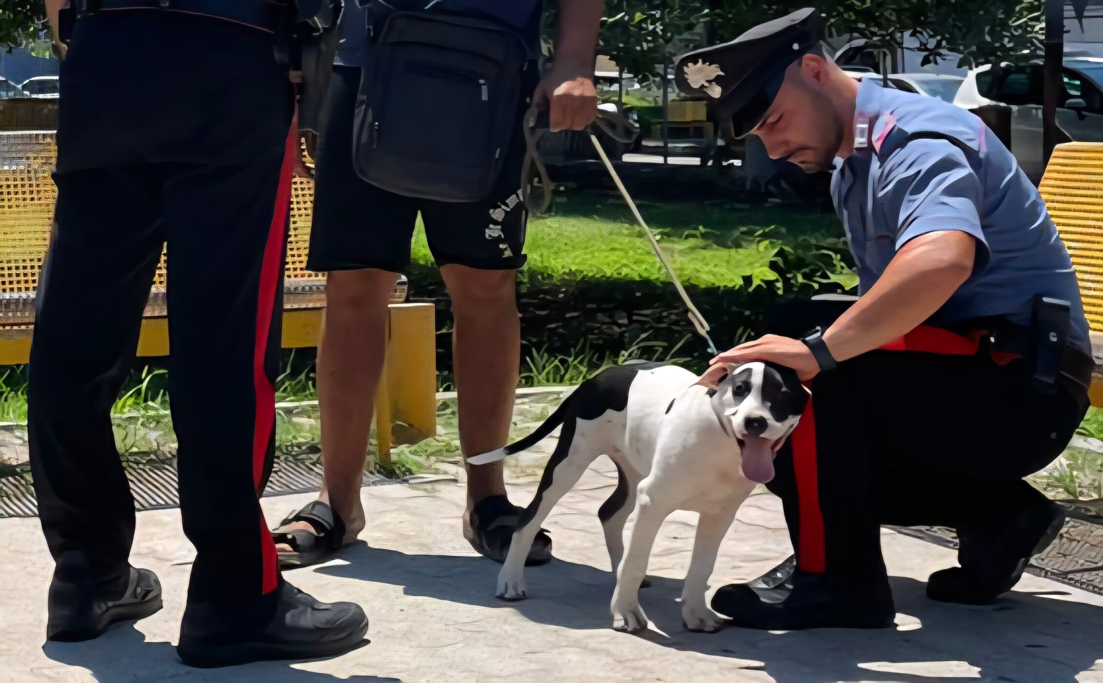The Carabinieri of the Soverato Company arrested a 35-year-old man in the act, as he is strongly suspected of the crimes of theft and 